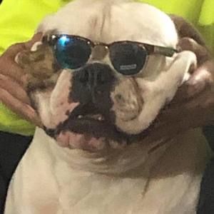 Meet your Posher, Kyle